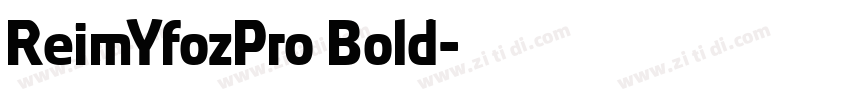 ReimYfozPro Bold字体转换